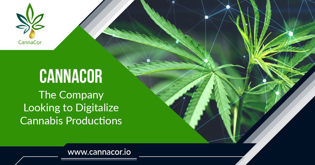 CannaCor: The Company Looking To Digitalize Cannabis Productions