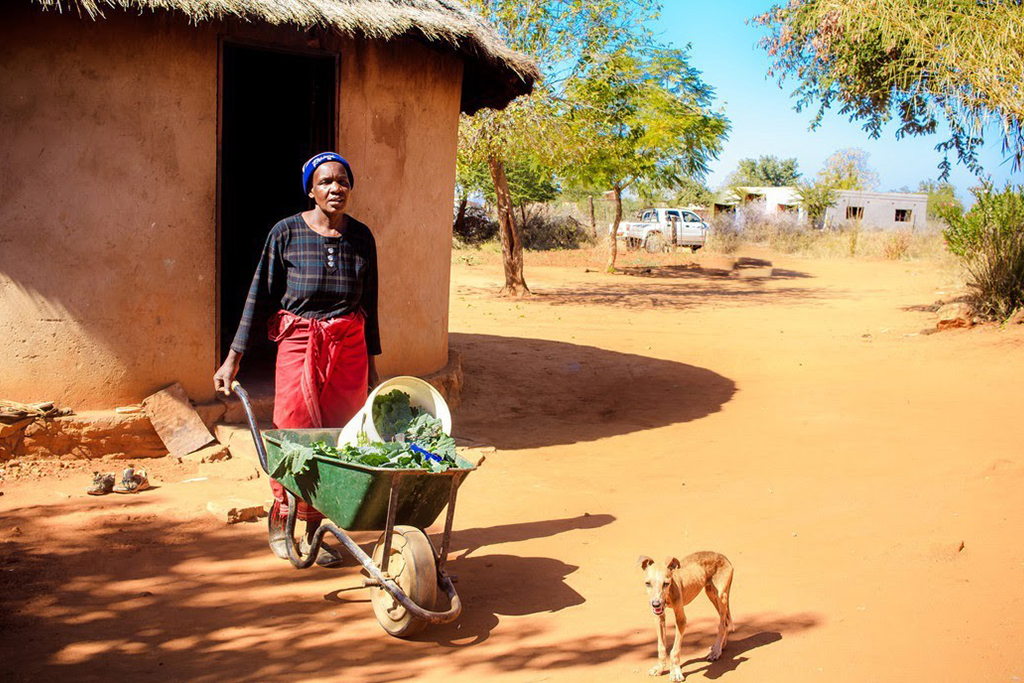 World’s Richest 22 Men Are Worth Same as 325M Women in Africa, Reveals New Oxfam Report