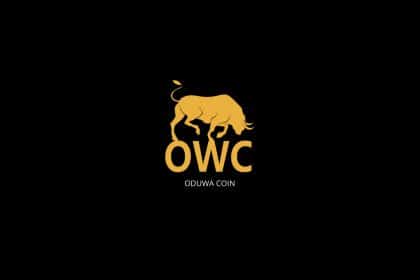 The Digital Solution for Africa’s Payment System Issues