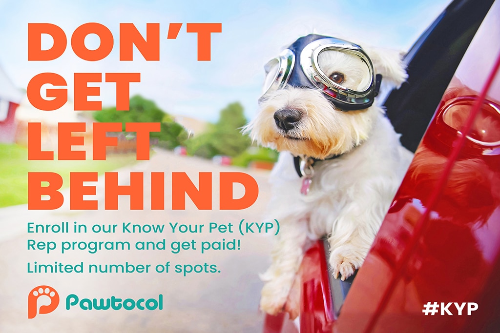 Pet-Based Company Pawtocol Launches a Blockchain Gig Economy