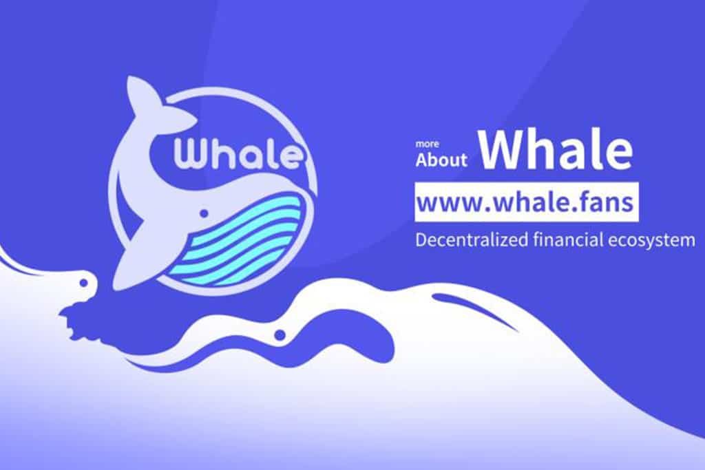 A Rising Star of DeFi: Whale Network