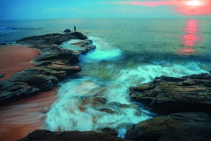 SEA Starts a Weekly Livestream