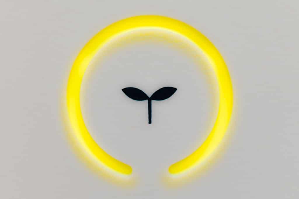 What Is GreenTrust Token? FAQs and Everything You Need to Know