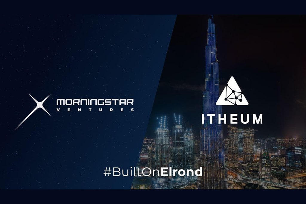 Elrond-based “Open Metaverse” Data Platform Itheum Lands $1.5M Seed Round