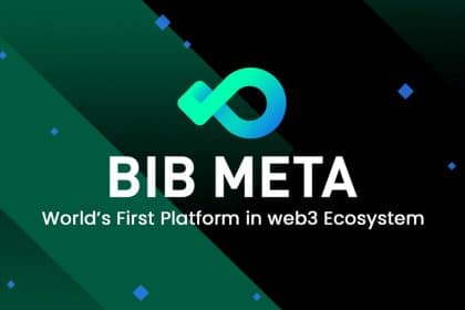 BIB Meta: From the Beginning to the Future