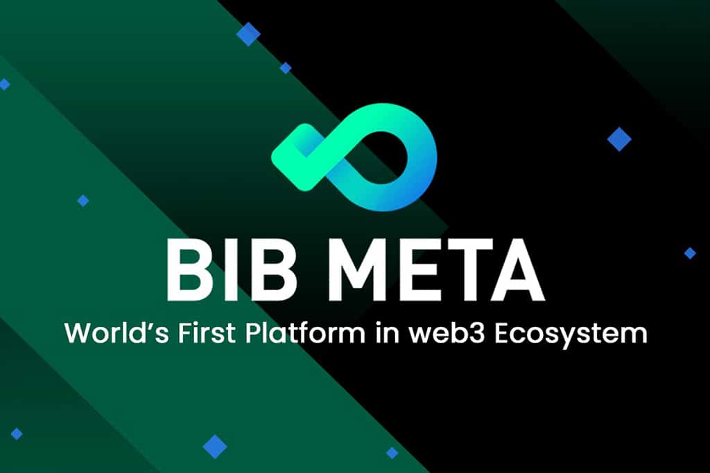 BIB Meta: From the Beginning to the Future
