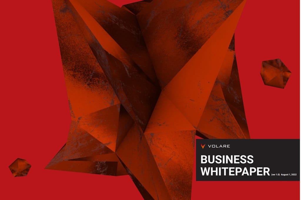 Volare Network, the First Commercial Blockchain Network, Releases Volare Business White Paper 1.0 with Volare Public Sale Announcement