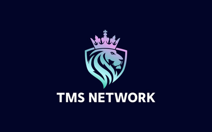 Excitement As TMS Network (TMSN) Presale Thrives While Chainlink (LINK) and Avalanche (AVAX) Dips