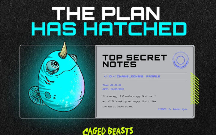 Is The Bull Market Back? Examining Bitcoin, Optimism & Caged Beasts