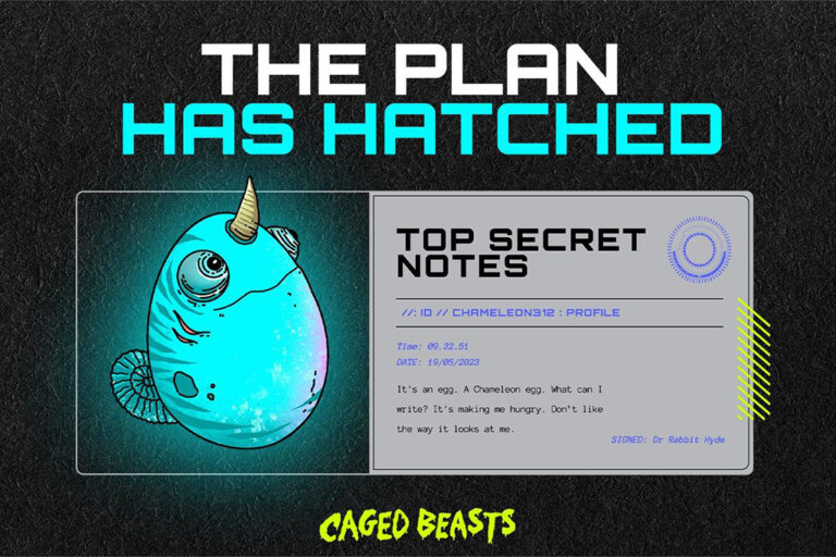 Is The Bull Market Back? Examining Bitcoin, Optimism & Caged Beasts