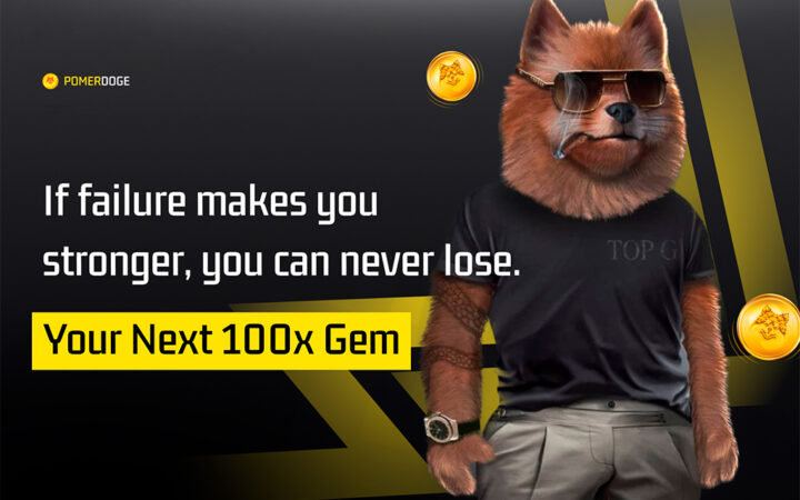 Google Bard Says Pomerdoge Could Overtake Pepe and Shiba Inu in Early 2024