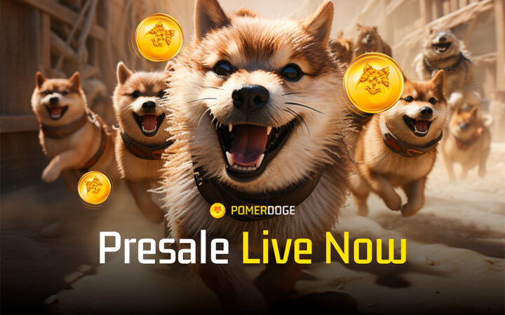 Long-Term Investment Coins To Hold – Chiliz, IOTA, and Pomerdoge