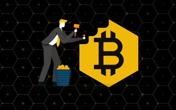 New Bitcoin BSC Crypto ICO Launches, Raises Over $1,000,000 in Six Days  