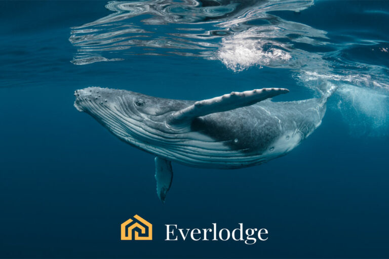 TRON (TRX), Cosmos (ATOM), and Everlodge (ELDG) Are the Best Cryptocurrencies to Get as the Global Crypto Market Cap Increases 27%