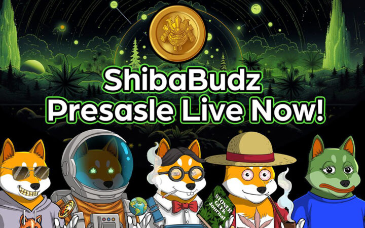 Why Do Investors Have Their Eyes on Hedera (HBAR), VeChain (VET) and Shiba Budz (BUDZ)