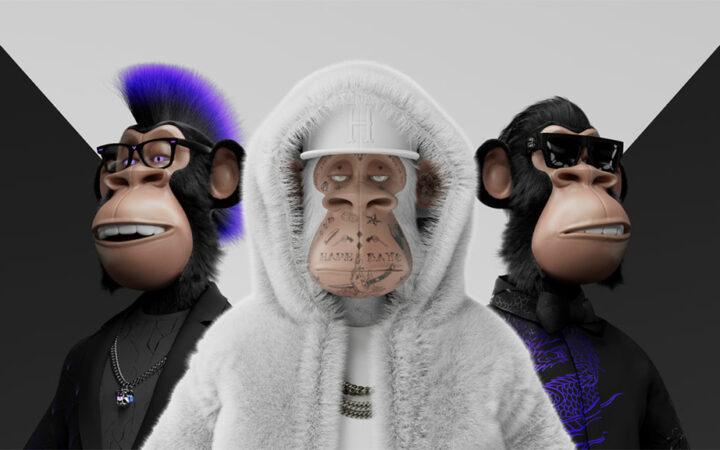 Interview with Hape® Founder Matt: Explorer in the Digital Fashion