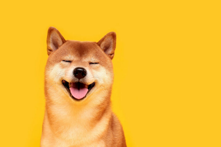 Shiba Inu News: SHIB Price Consolidates, while Helium and Everlodge Top the Charts