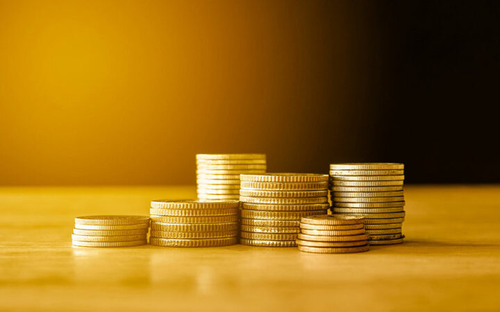 Next Crypto to Hit $1: Is CHIPPY Next Bonk?