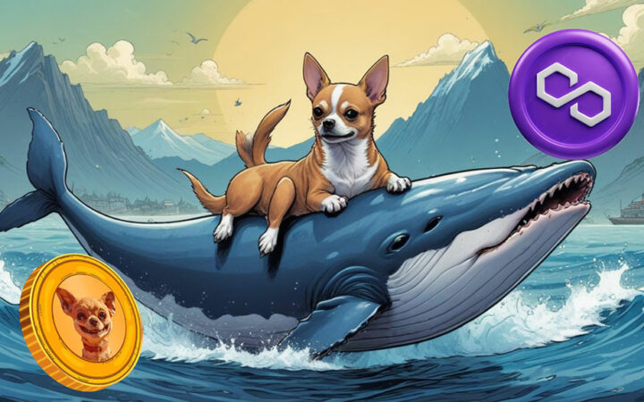 Crypto Whale Who Called 2022 Market Crash Believes This Under $0.01 Polygon Rival Will Soar to $1 in 2024, Could He Be Right Again?