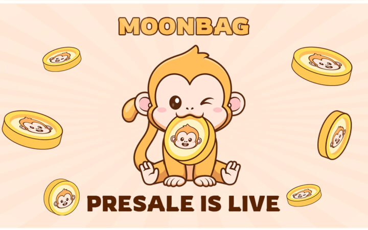 MoonBag Presale: MBAG The Next-Gen Meme Coin Transcending FLOKI & PEPE