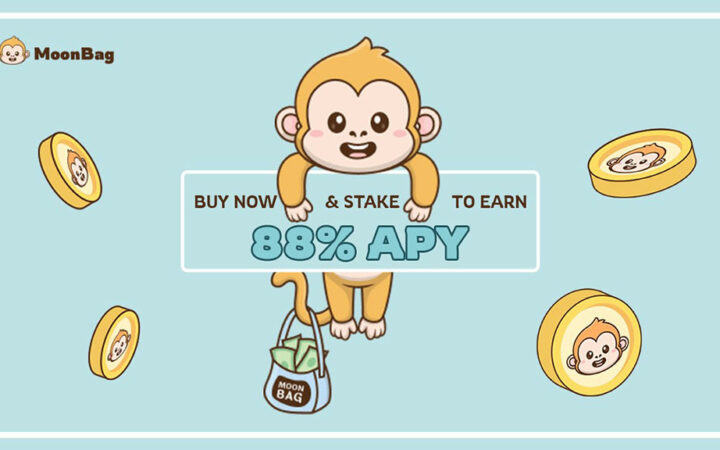 MoonBag Presale vs Arbitrum and Chainlink: Will the Rookie Take On the Veterans?