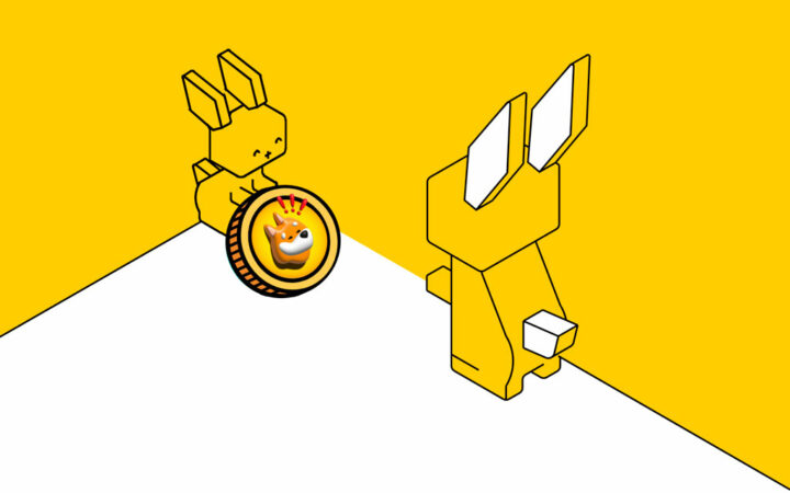 Next Meme Coin to Explode: Raboo Joins BONK & BOME in Meme Coin Surge