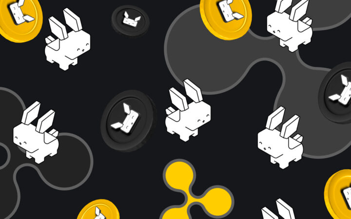 XRP vs SEC, Jupiter And Raboo Are Believed To Be A More Sustainable Investment