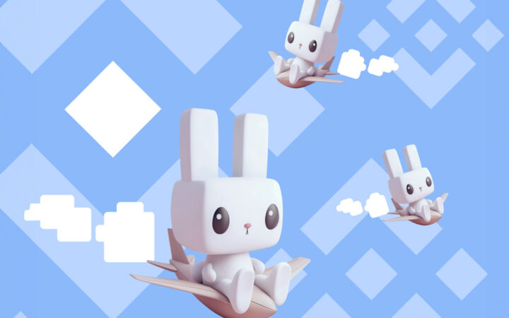 BNB Quarterly Burn Report: How Does This Affect Ethereum And New Player Raboo?