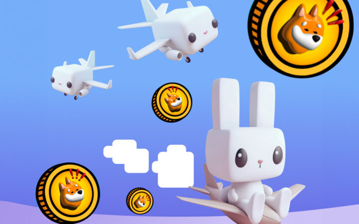 Meme Coin Price Predictions: SHIB, RABT and BONK