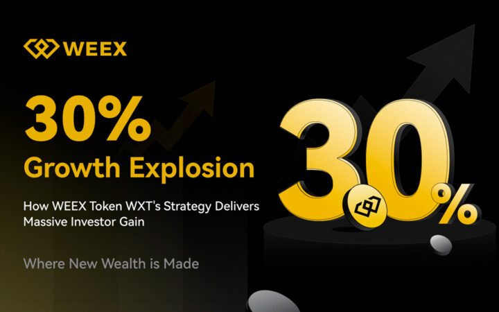 WXT’s Impressive 30% Growth: WEEX’s Strategic Excellence