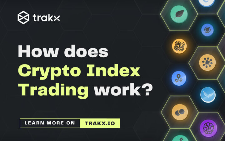 How Does Crypto Index Trading Work? Learning About Trakx