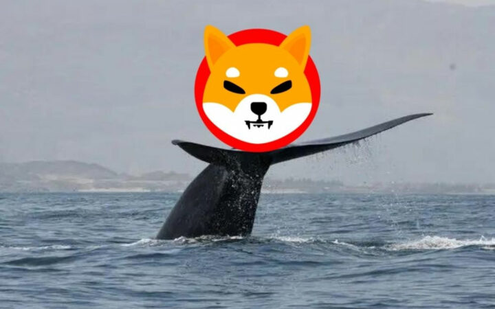 Whales Aggressively Stock Up on Shiba Inu – What Does This Mean for the SHIB Price?