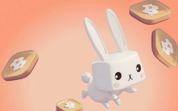 Bitcoin vs. XRP: Which Crypto Is Set to Skyrocket in Upcoming Bull Run? Experts Share Their Insights!