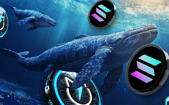 Solana: Analysis of SOL Price Pump as Whale Interest and JetBolt Presale Leaps