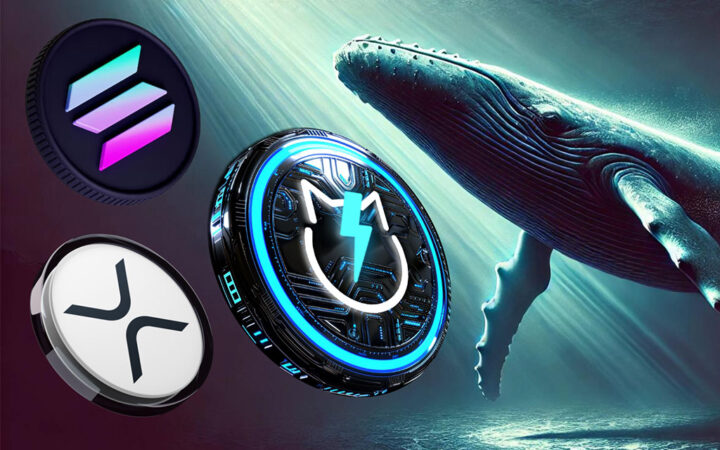 XRP vs Solana vs JetBolt: Which Altcoin Should I Buy?