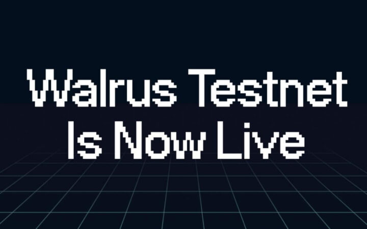 Decentralized Storage Protocol Walrus Launches Public Testnet