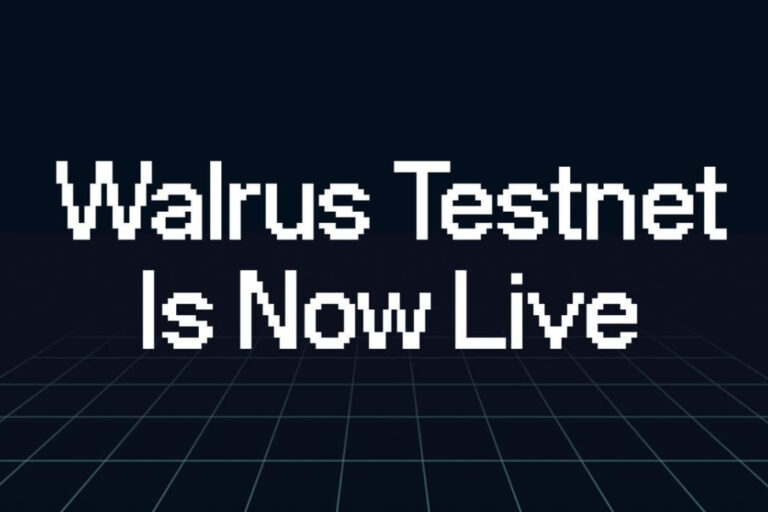 Decentralized Storage Protocol Walrus Launches Public Testnet