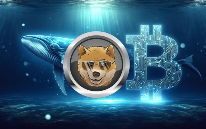 Bitcoin Whale Moves $6.01M After 13 Years – Analysts Predict Dogen Could Be the Next Whale Target