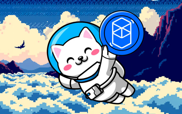 Fantom (FTM) Losing Trading Volume As Binance Coin (BNB) And Cutoshi (CUTO) Take Positive Momentum