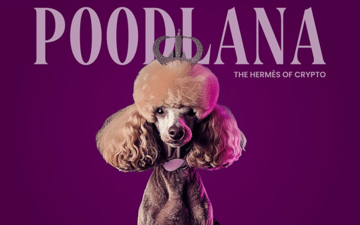 FTX Creditors Repayments Coming: Why POODL Will Soar