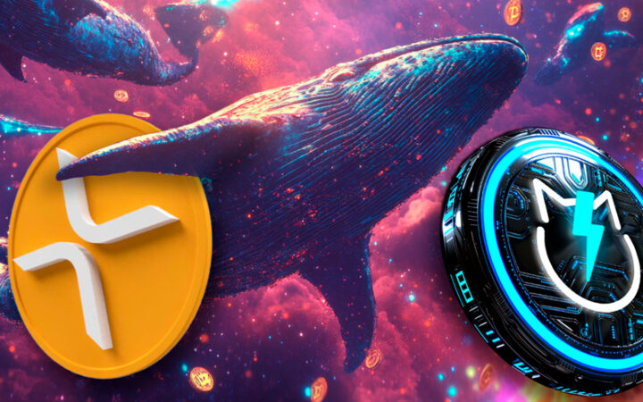 XRP Escapes Near Crash as Whales Rush to JetBolt Presale