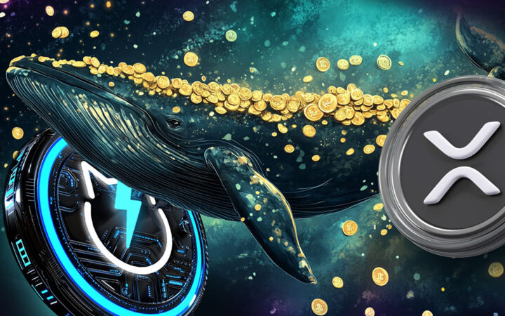 XRP News: Top XRP Stories This Week Including XRP’s 4% Price Rise and JetBolt Whale Activity