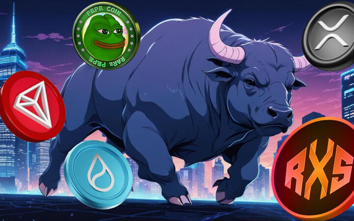 5 Best Coins to Hold for the Next Bull Run: 25000% Returns Likely