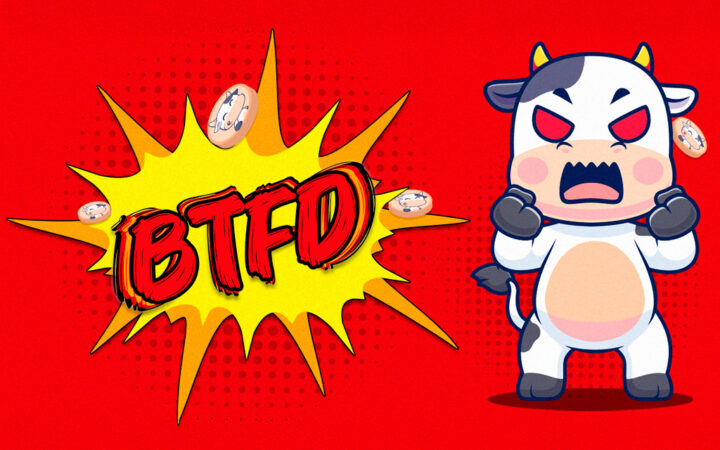 What Makes BTFD The Best New Meme Coin to Buy Now!