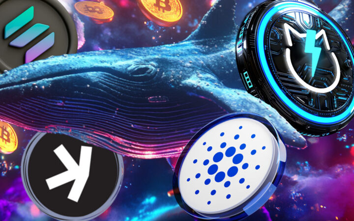 Why Crypto Whales Are Pumping Altcoins Including Solana, JetBolt, Cardano, and Kaspa