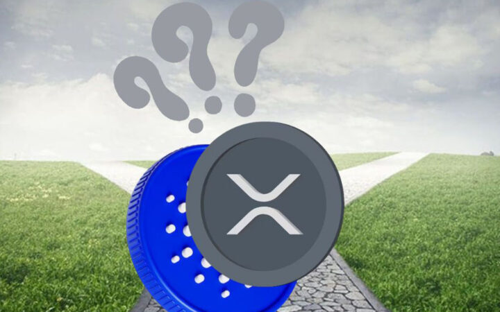 XRP and Cardano’s Future: Continued Success, or a New Meme Coin Taking Over the Spotlight?