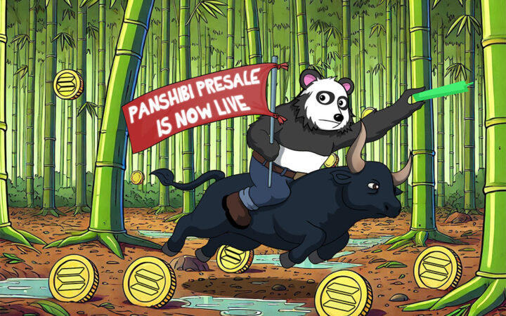 Solana Likely to Fall Up to 20% Next Month But Why? What Is This Latest Craze Called Panshibi?