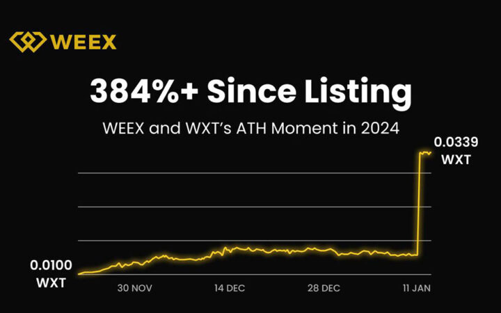 WEEX 2024 Annual Report: Over 5 Million Users, Daily Trading Volume Exceeds $5 Billion, Team Expands to 500+