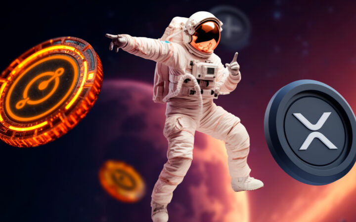 As XRP Gains Momentum, January May Be the Final Chance to Accumulate Dogecoin – PlutoChain Attracts Whale Interest