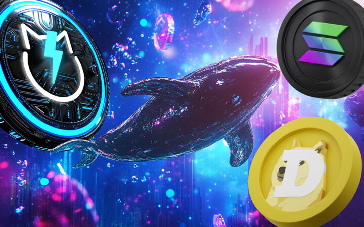 Altseason Alert: Why Crypto Whales Are Hoarding Solana, Dogecoin, and JetBolt